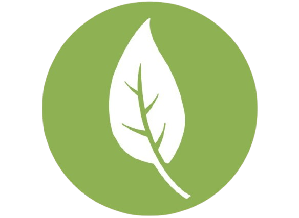 Natural Environment Environmentally Friendly Logo Sustainability Environmental Management System Png Favpng TmxrSsvBSGprCyQkBiBPqRfqR Removebg Preview